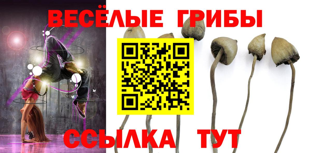 Псилоцибиновые грибы ЛСД  Вход с VPN  Псилоцибиновые грибы MAGIC MUSHROOMS  Лениногорск 
